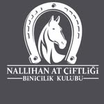 Nallıhan At Çiftliği Binicilik Kulübü - Logo