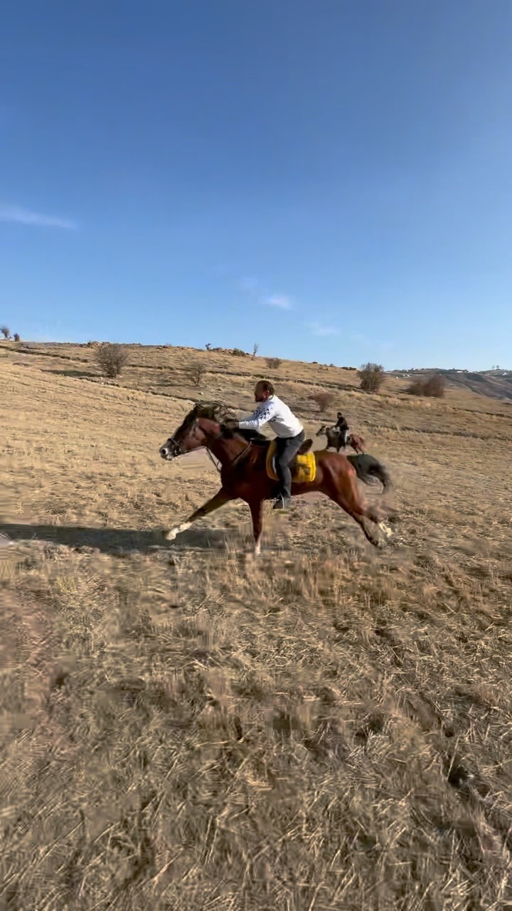Nallıhan At Çiftliği Binicilik Kulübü