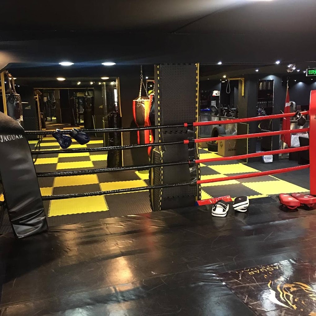 Jaguar Fitness