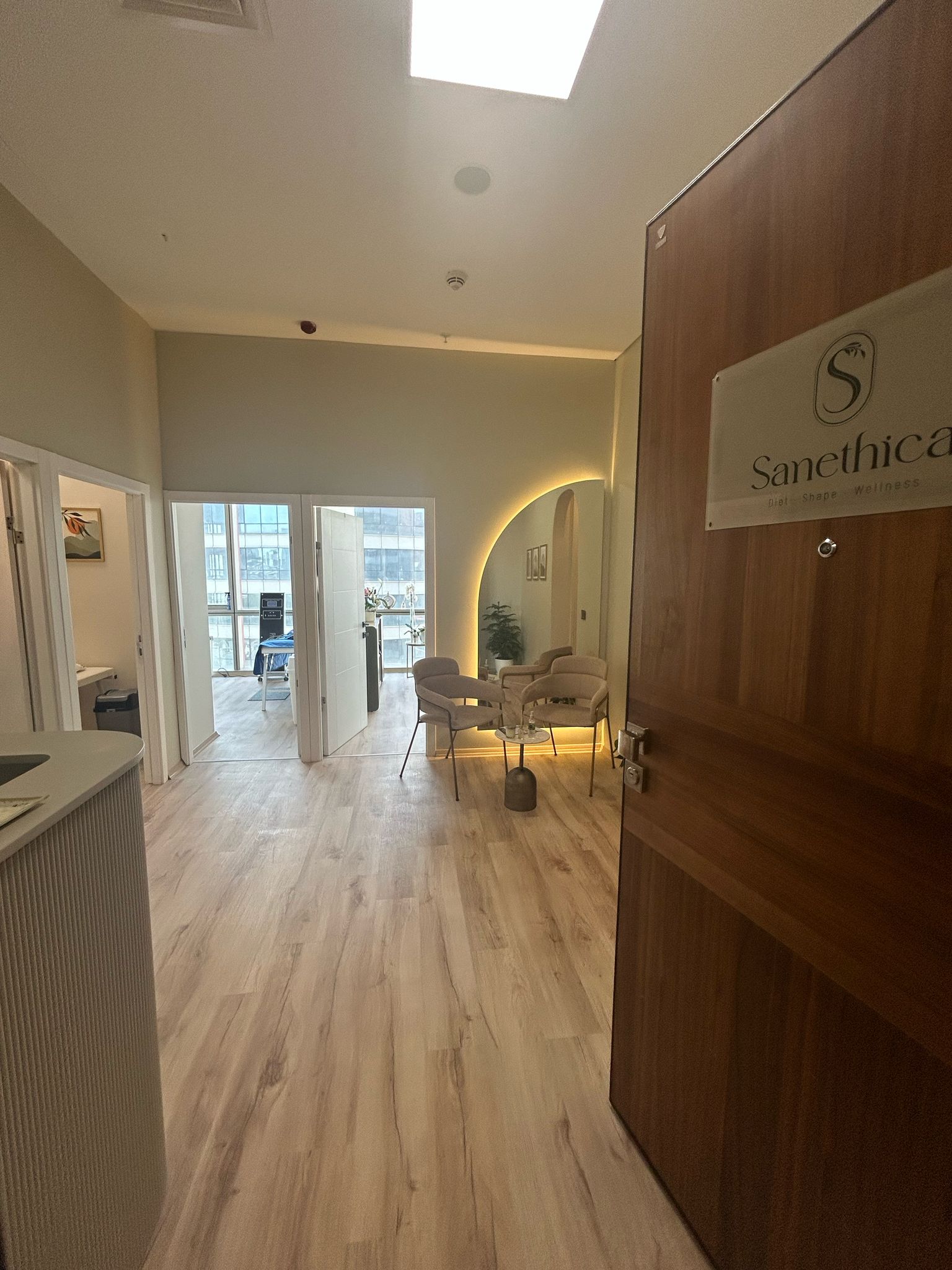 Sanethica