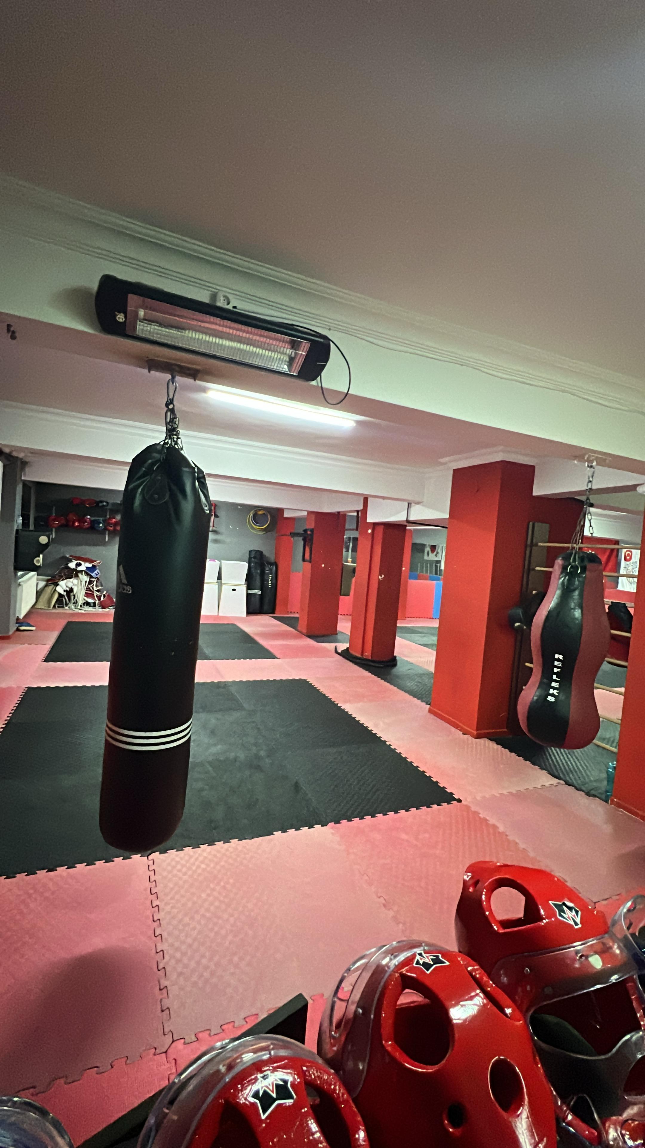 LION SPOR KULÜBÜ