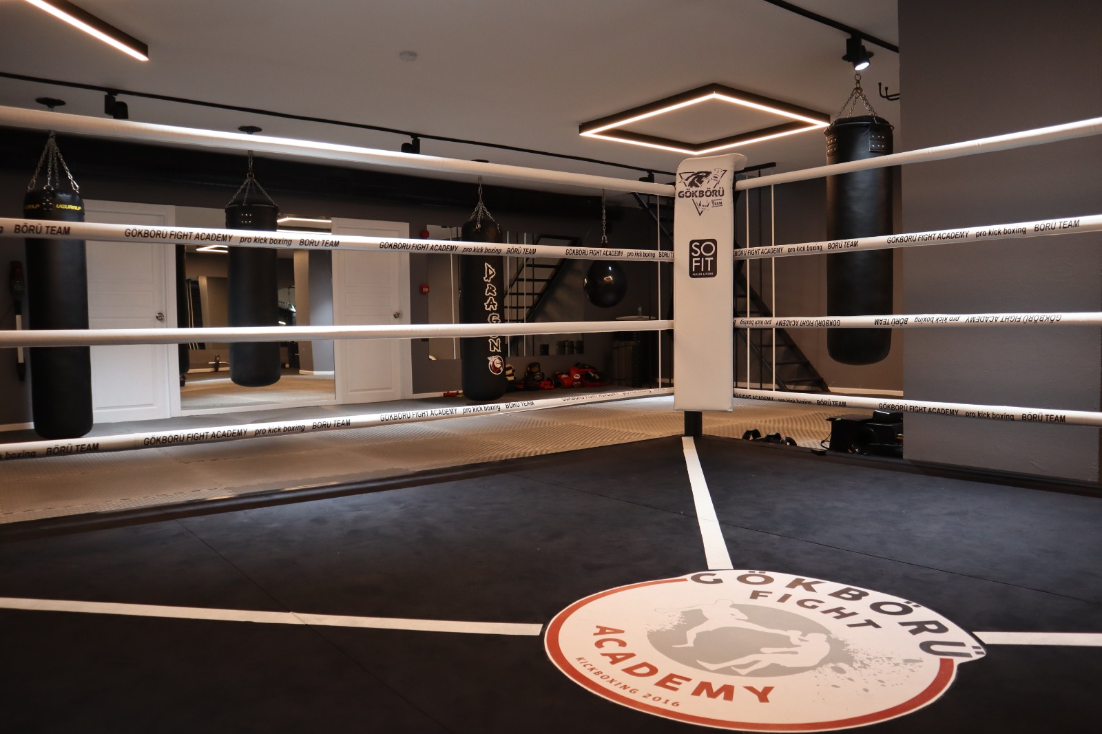 Gökbörü Fight Academy