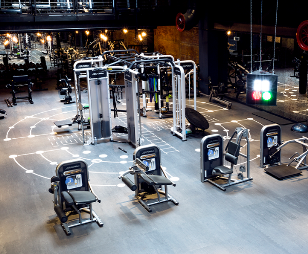 MACFit Fulya