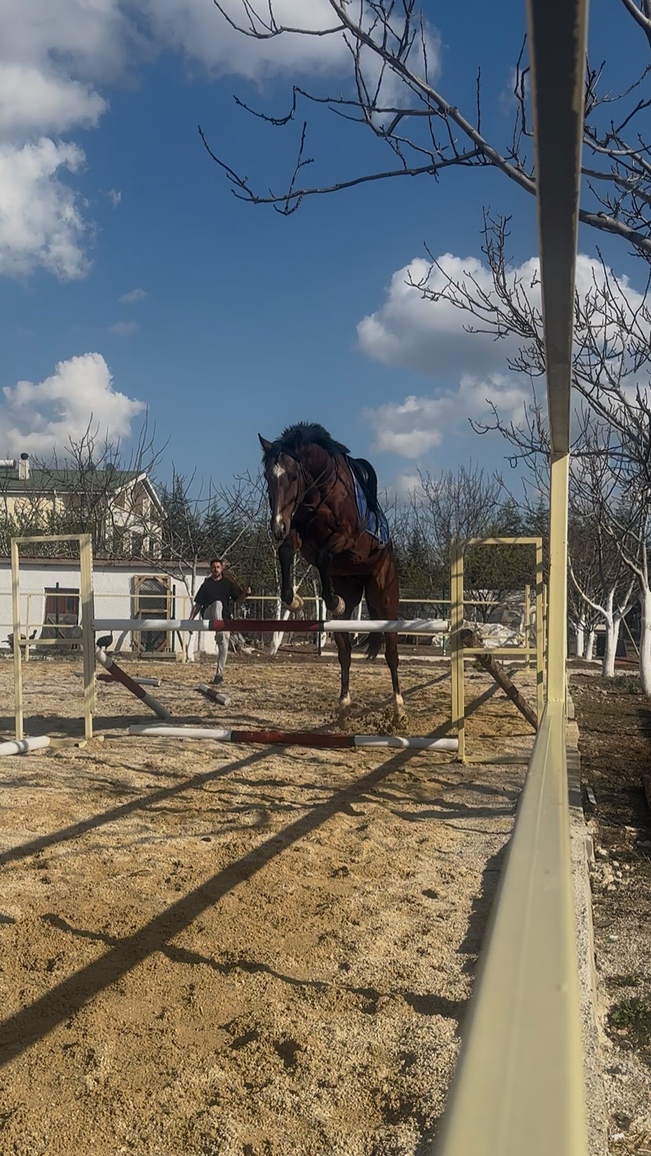 Horse World Atlı Dünya ASK