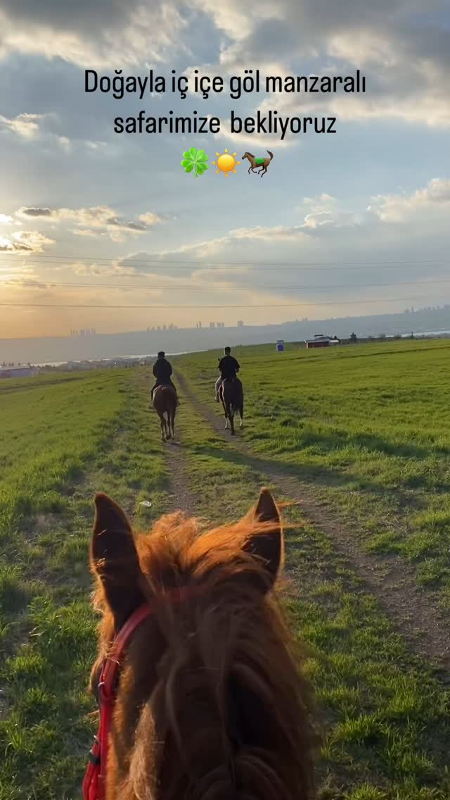 Kaydır 2