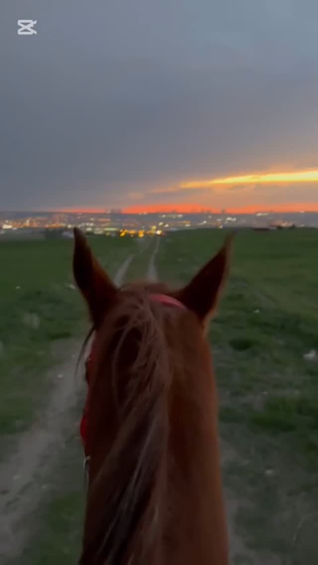 Kaydır 3