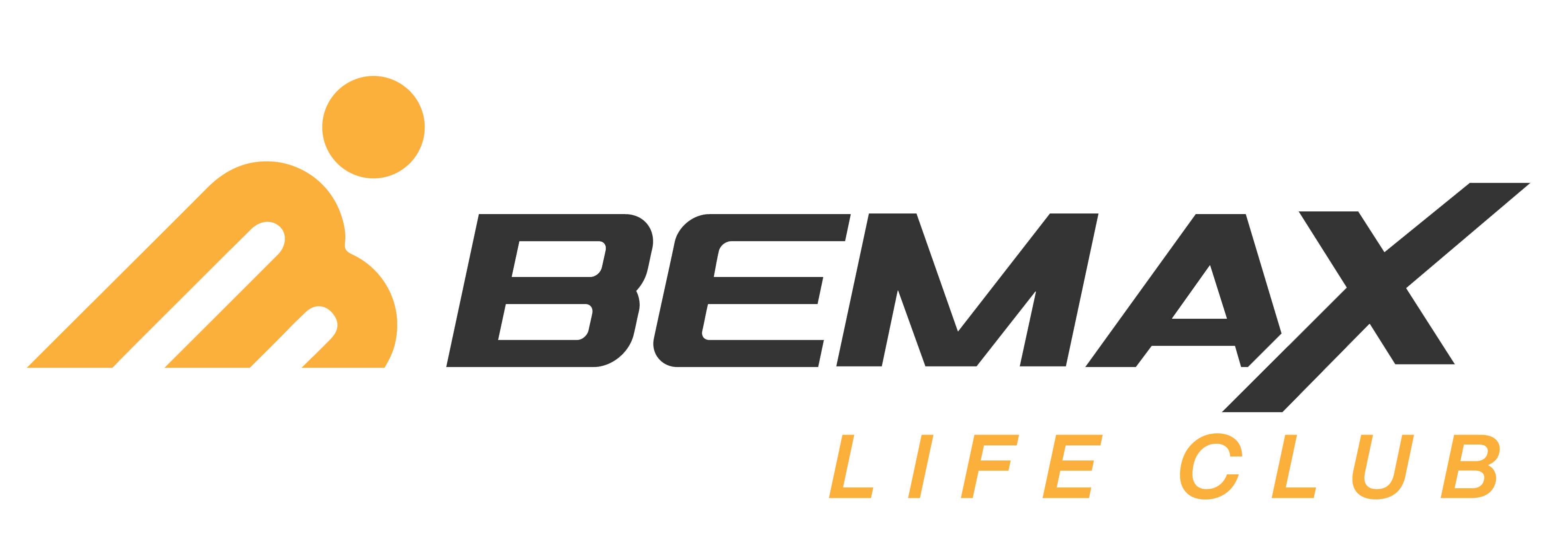 Bemax Life Club - Logo