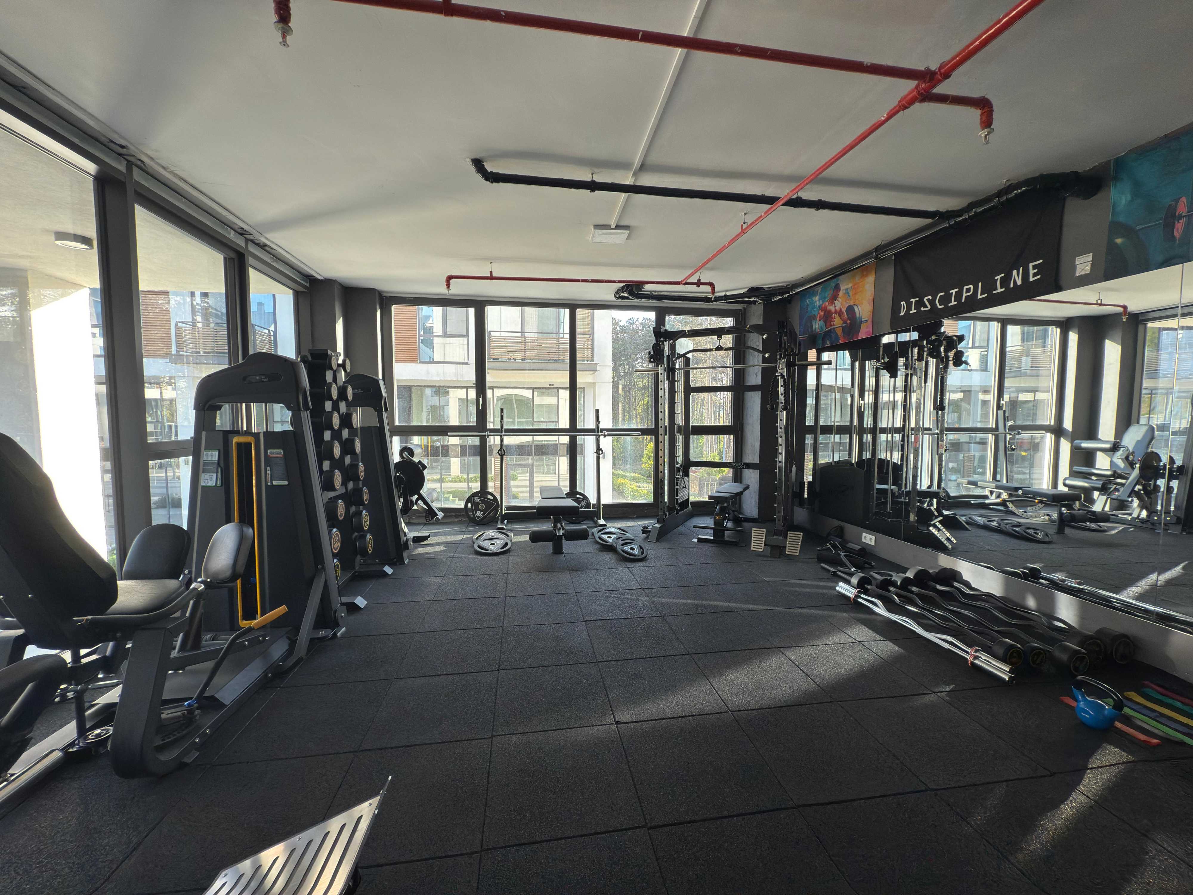 Thor Gym