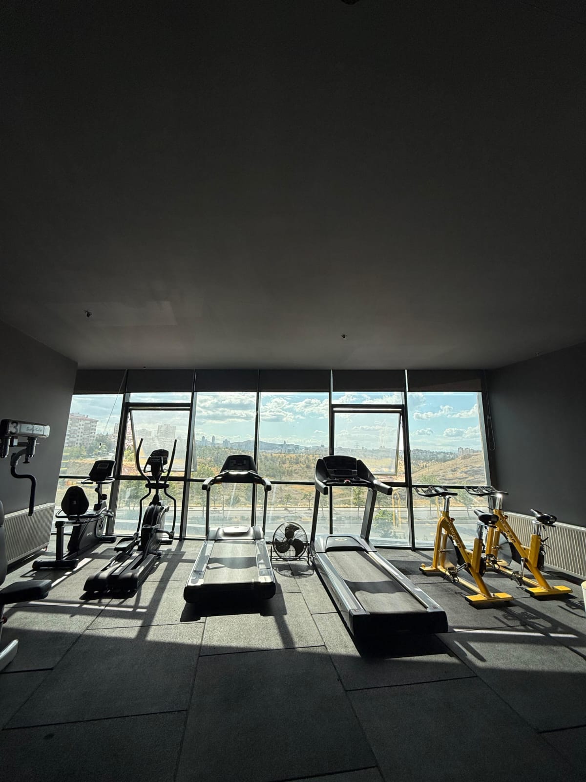 Fit Flex Training