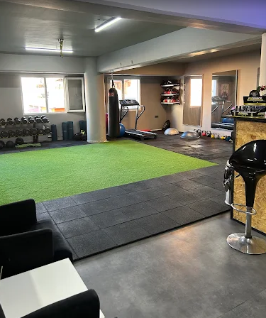 WILD CLUB Training Studio