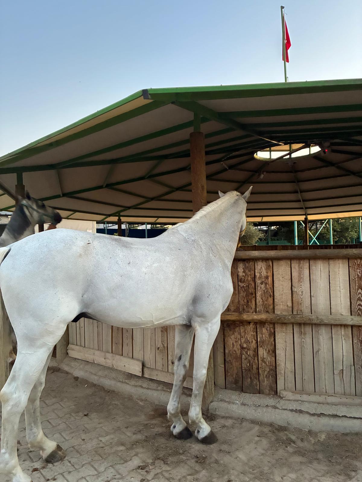 Kaydır 3