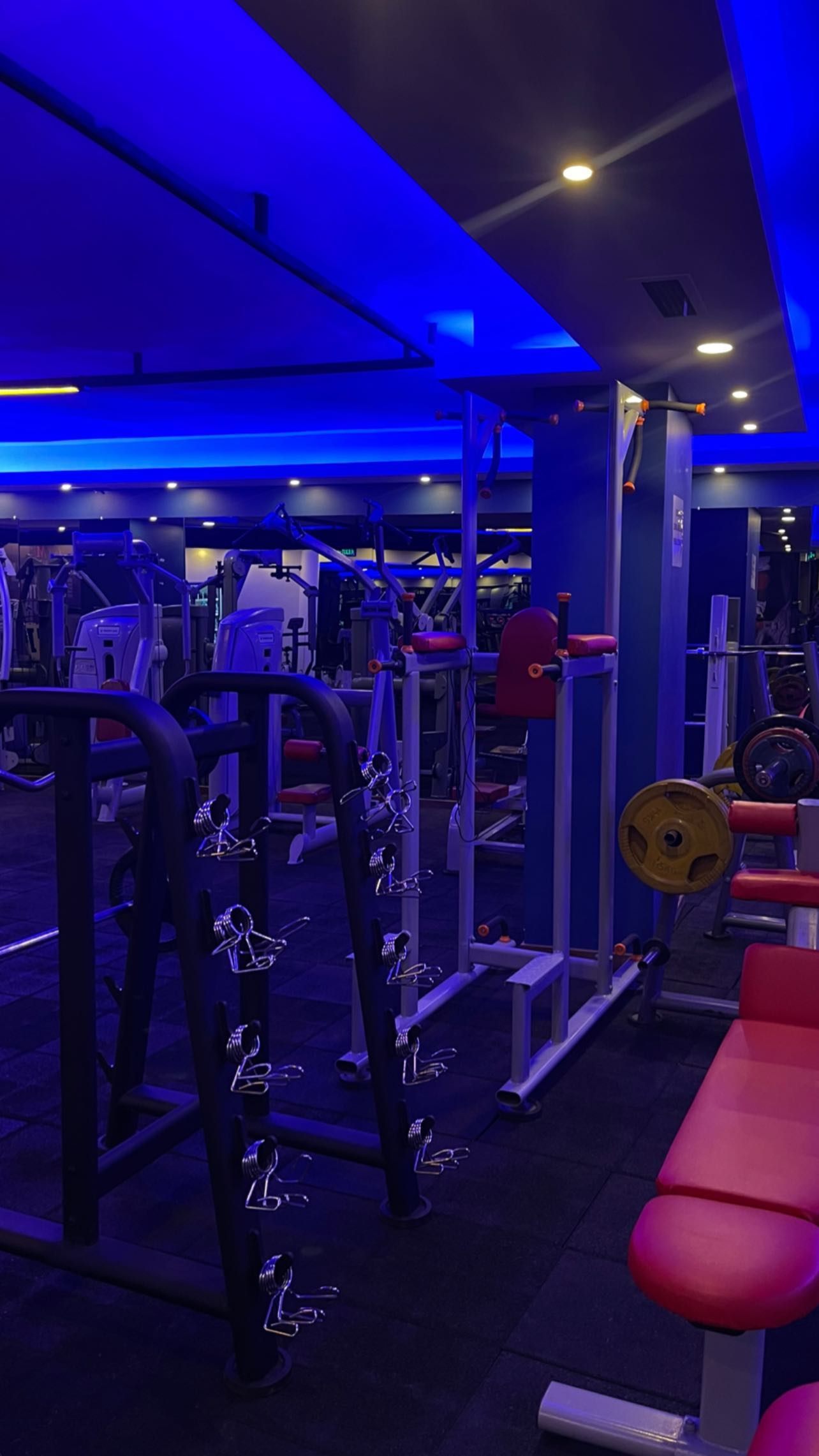 Mc Power Gym