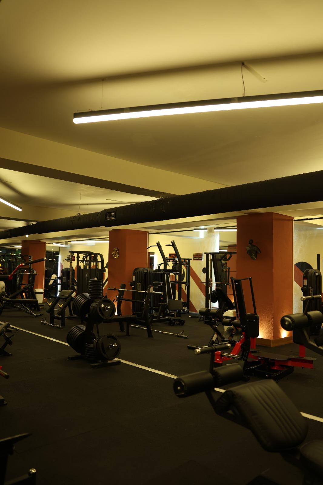 Move On Gym Plus