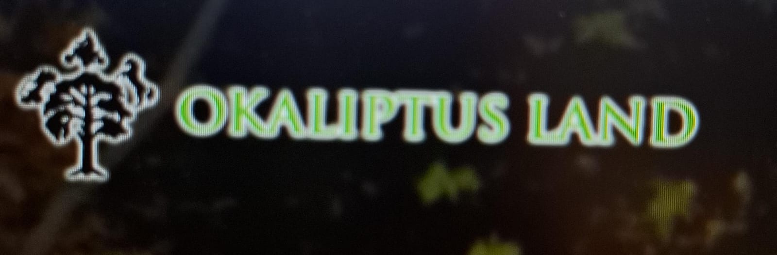 Okaliptus Land - Logo