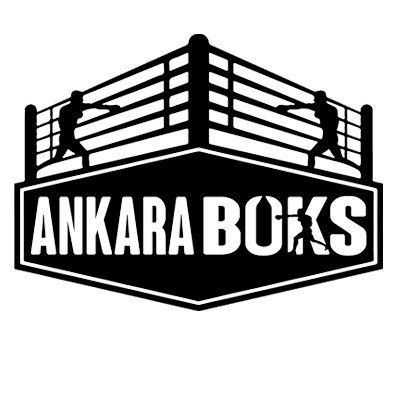 Ankara Boks Sinpaş Altınoran - Logo