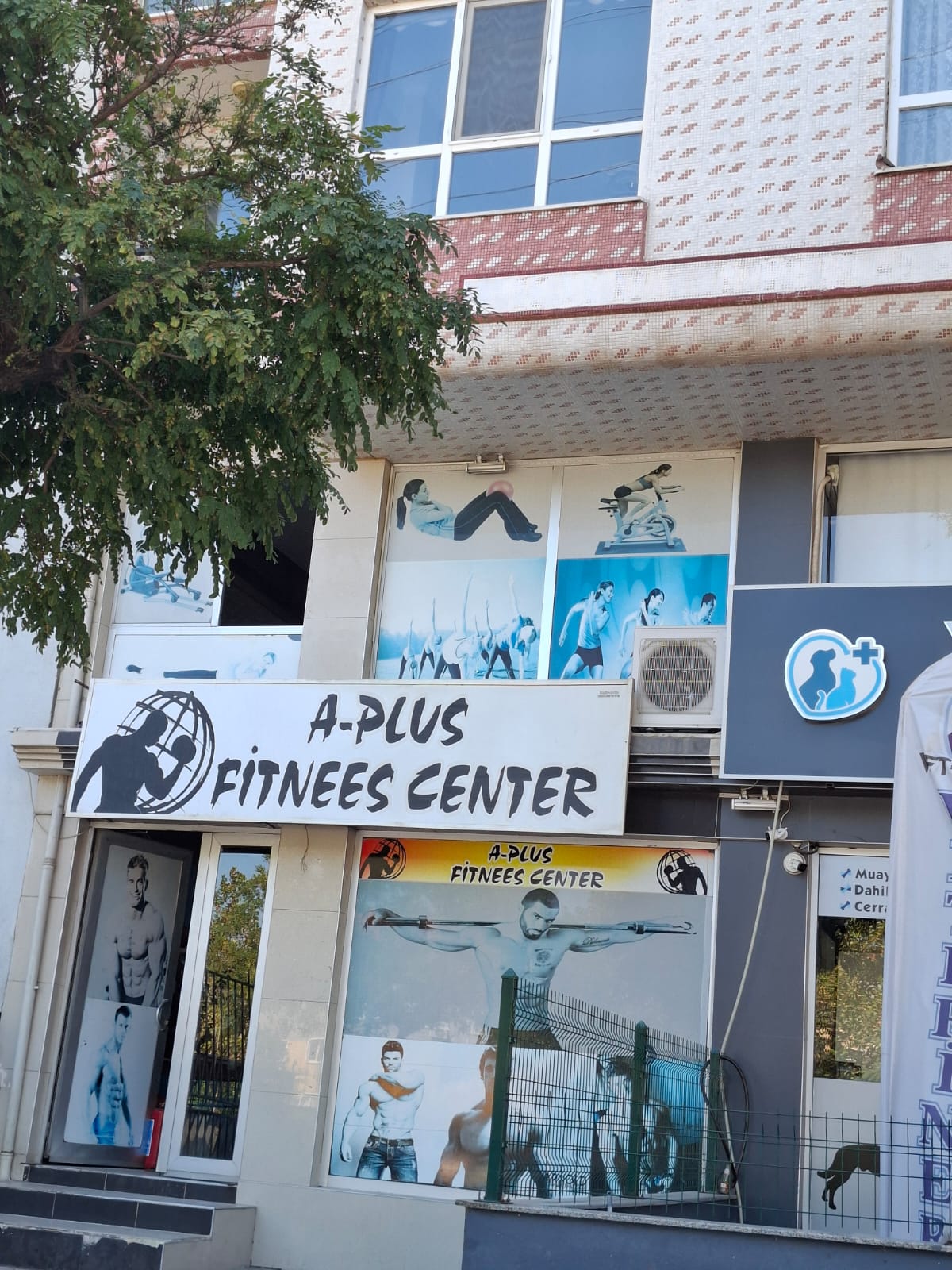 A Plus Fitness Center - Logo