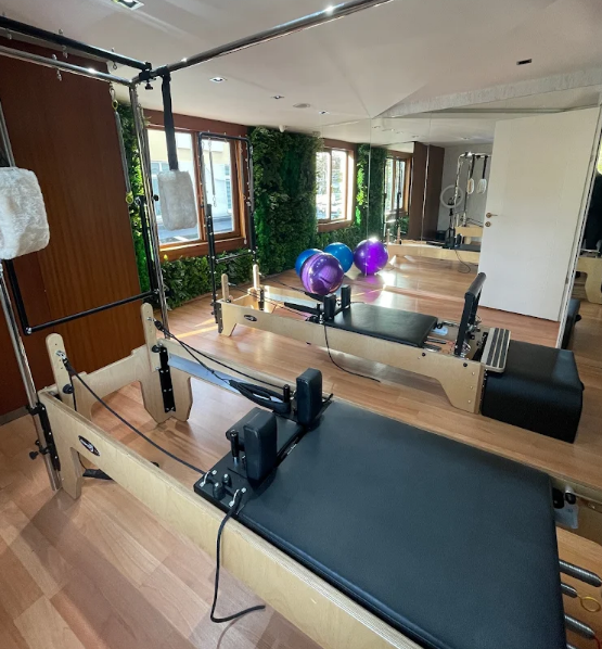 Viole Fizyoterapi ve Danışmanlık Merkezi