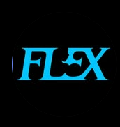 Flex Gym Club - Logo