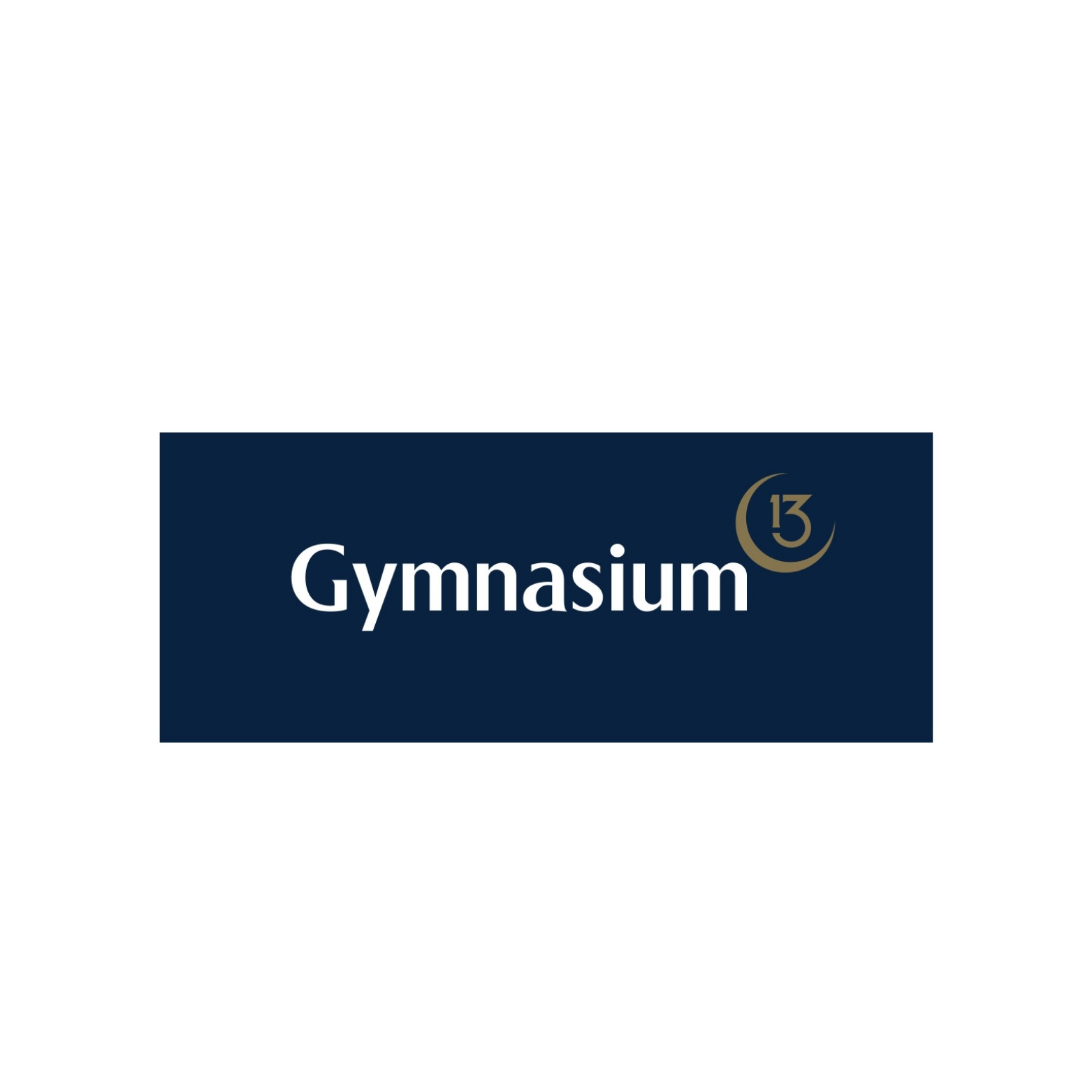 Gymnasium13 - Logo