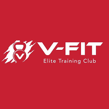 V-fit Güllük - Logo