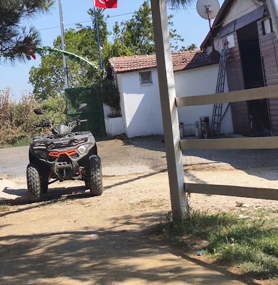 Kaydır 3