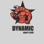 Dinamik Spor Salonu - Logo