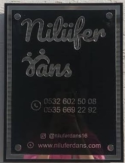 Bursa Nilüfer Dans Kursu