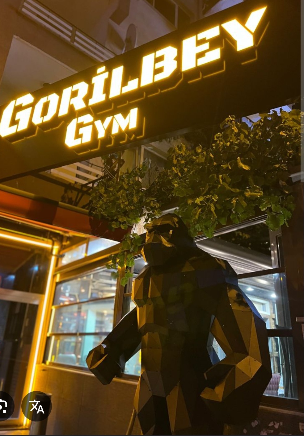 Gorilbey Gym Botanik Yıldız
