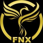 FNX Gym - Logo