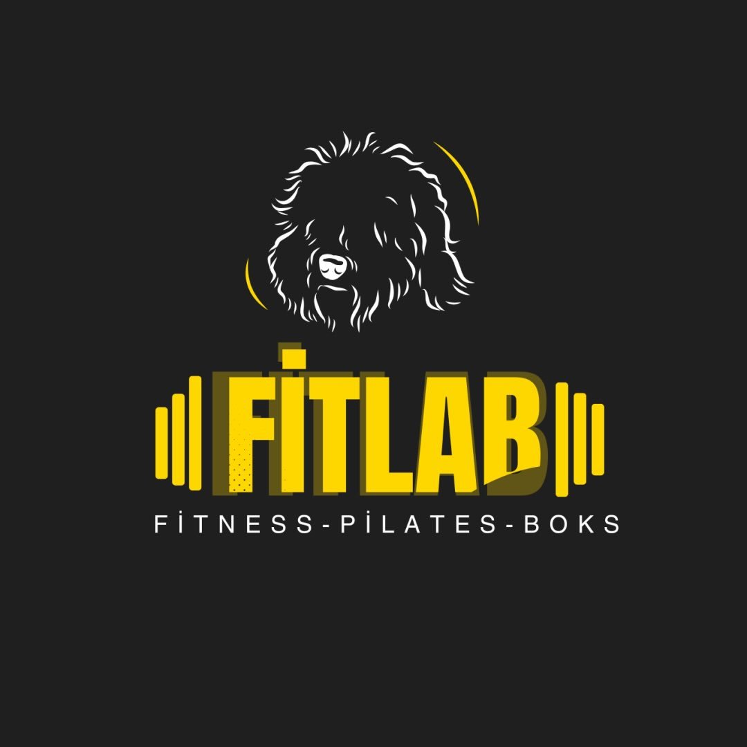 Fitlab Gym - Logo