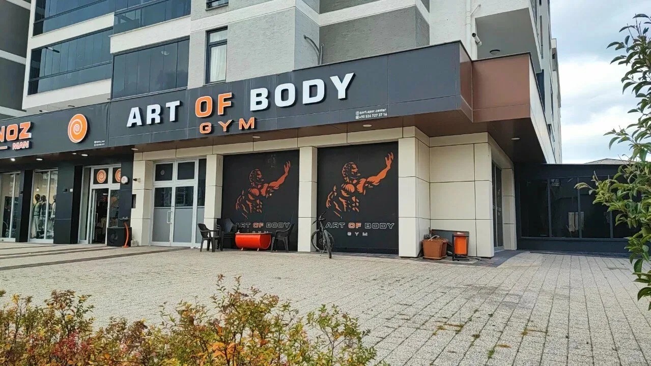Art Of Body Gym