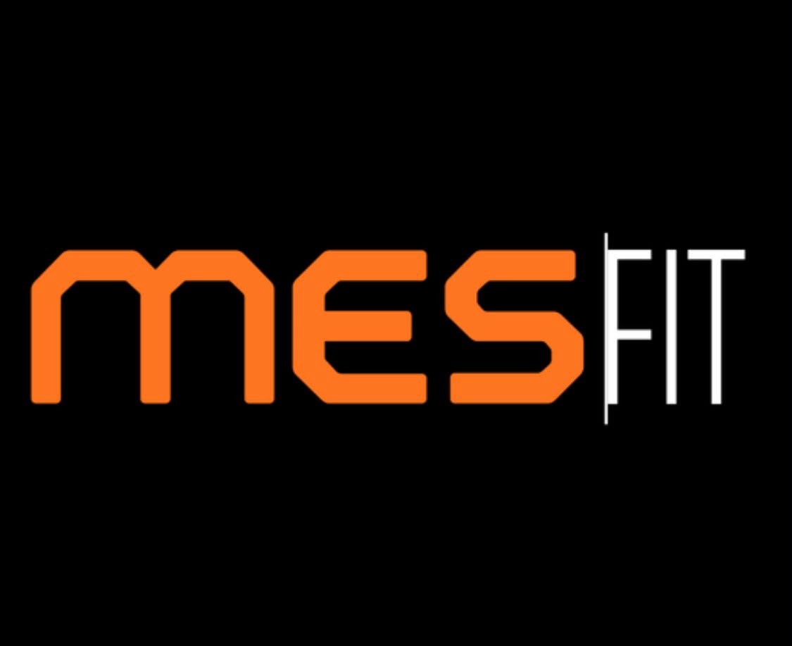 Mesfit - Logo