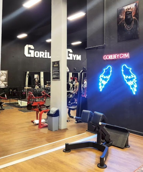 Gorilbey Gym Tunalı Esat