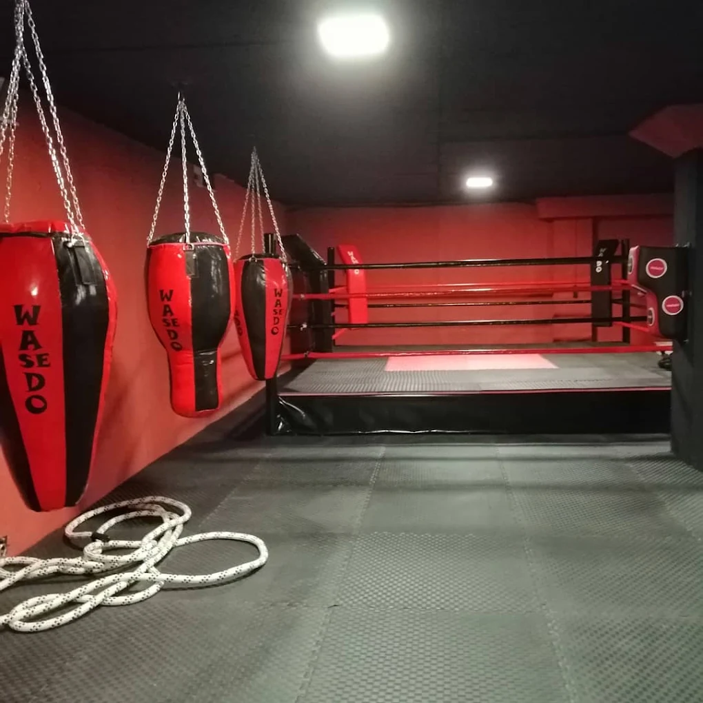 Fit Box Spor kulübü