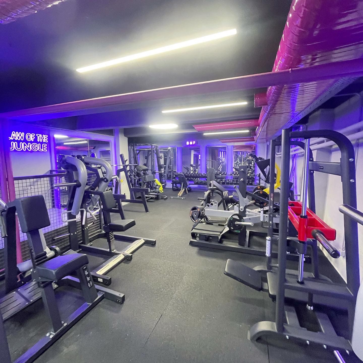 Bomonti Muscle Factory