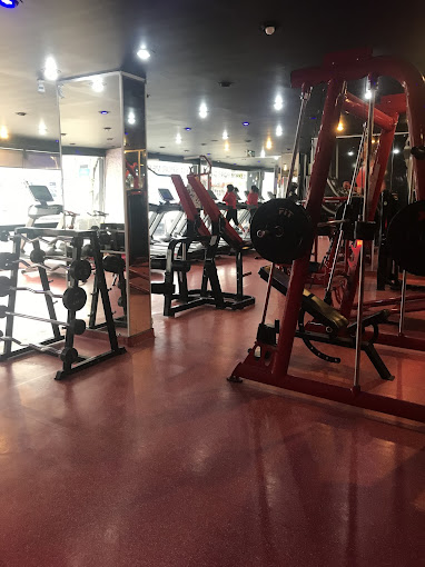 Xfit Bağlum