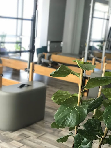 SDF Pilates Studio
