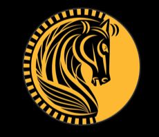 Stallion Gym & Crossfit - Logo