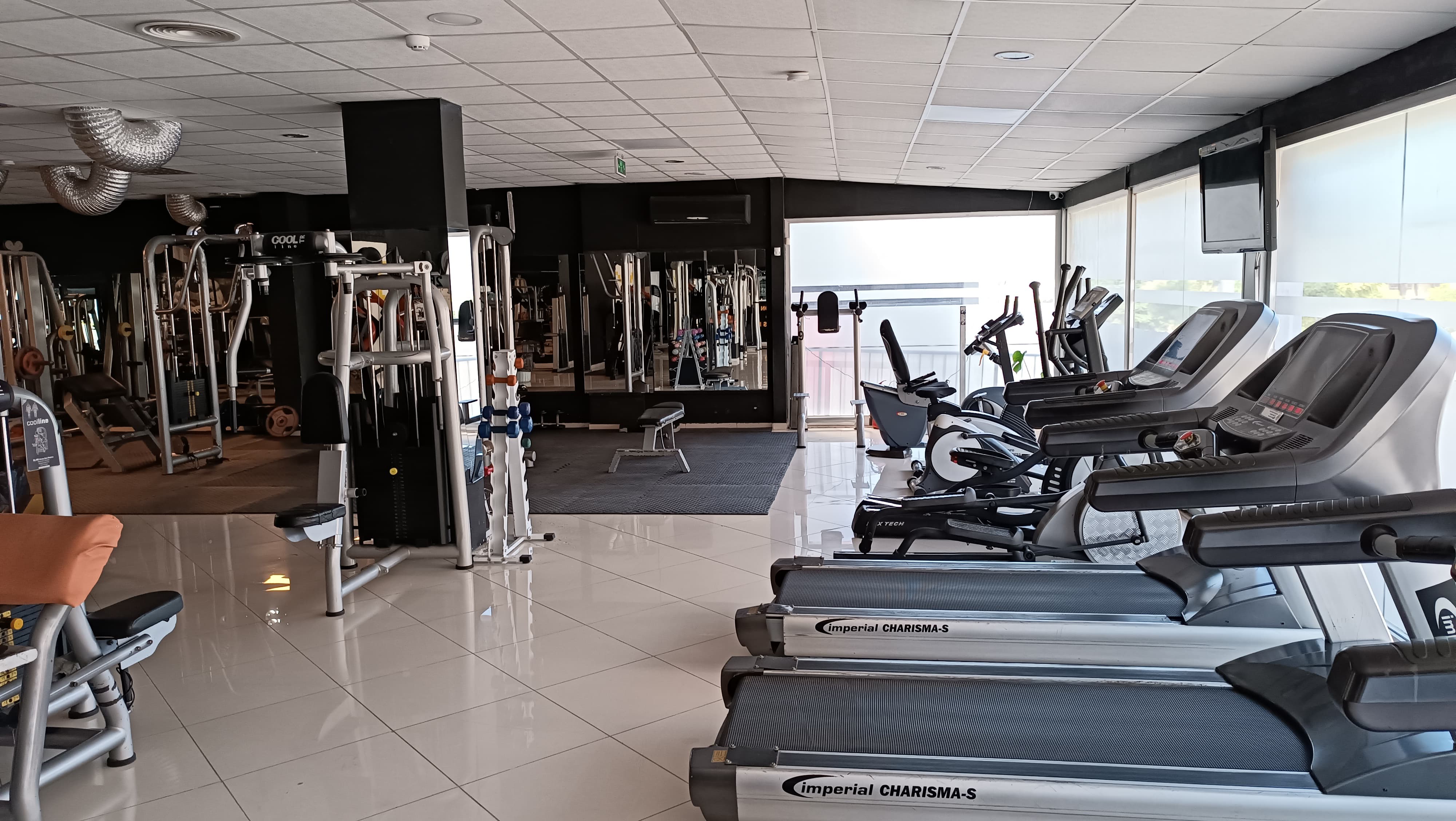 Stallion Gym & Crossfit