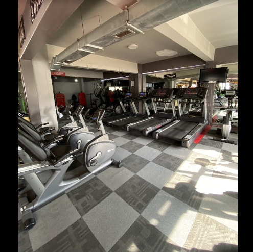 Mutant Animal Gym Club