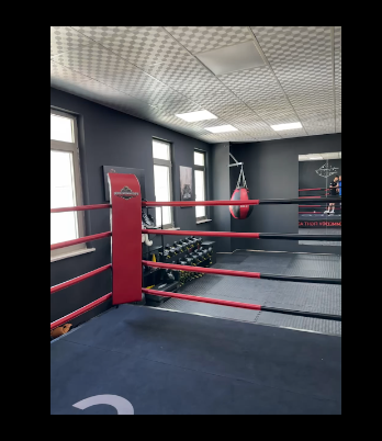 Uğur Memmedov Fight Academy - Logo