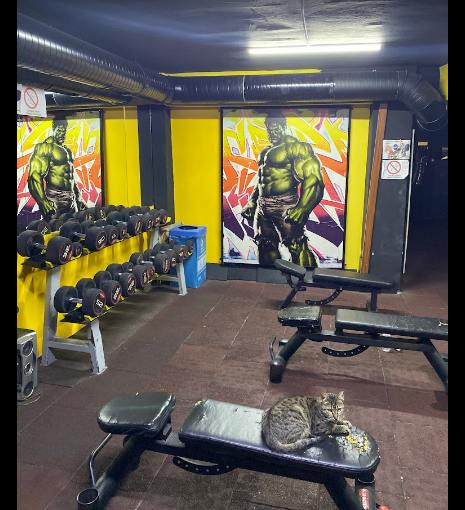 Esenler Afşar Spor Kulübü