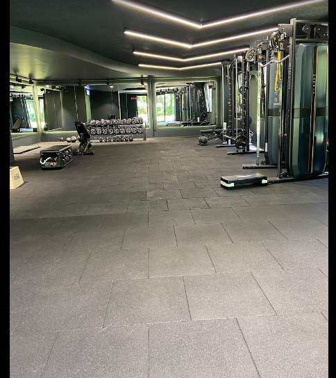Saru Training House
