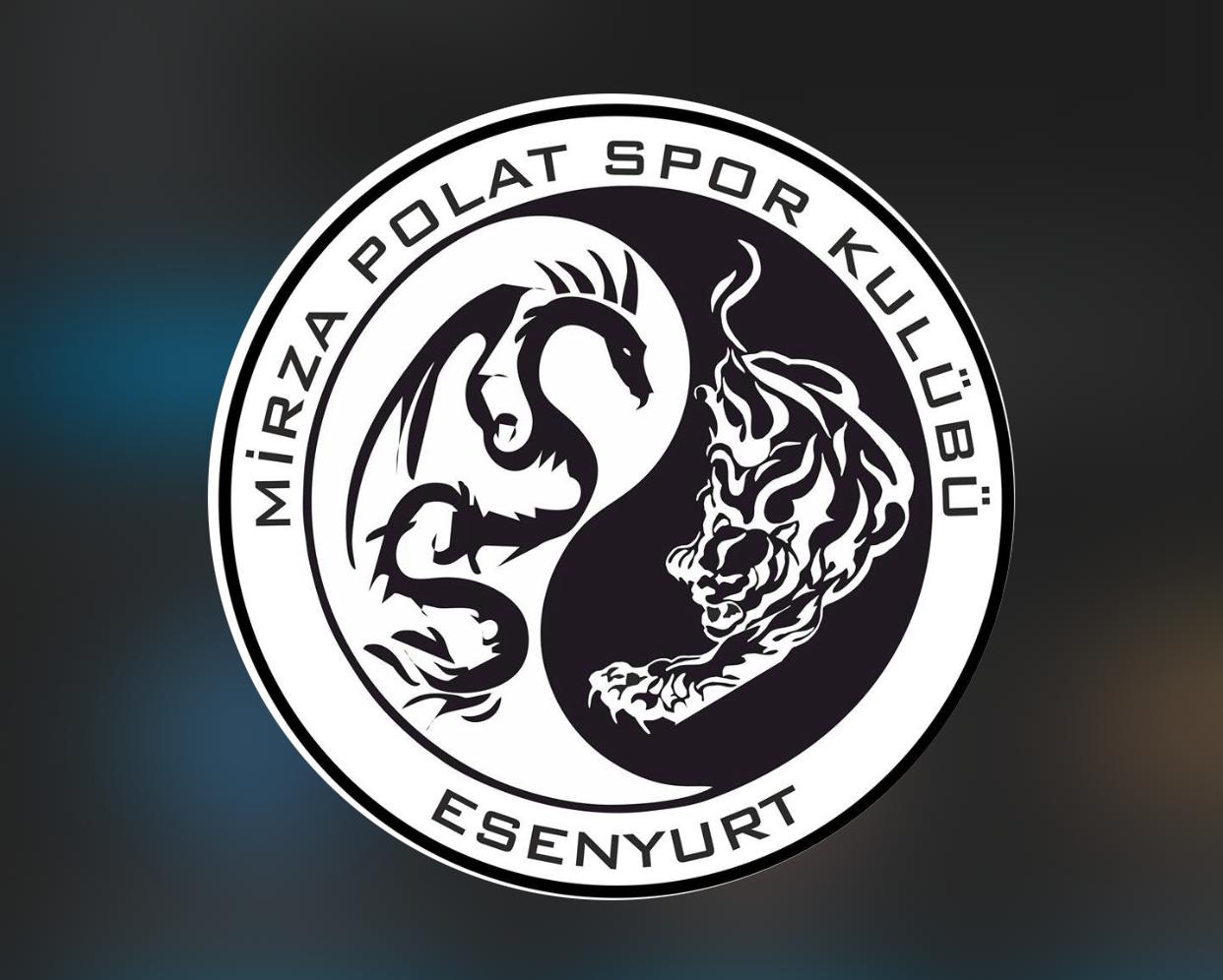 Mirza Polat Spor Kulübü