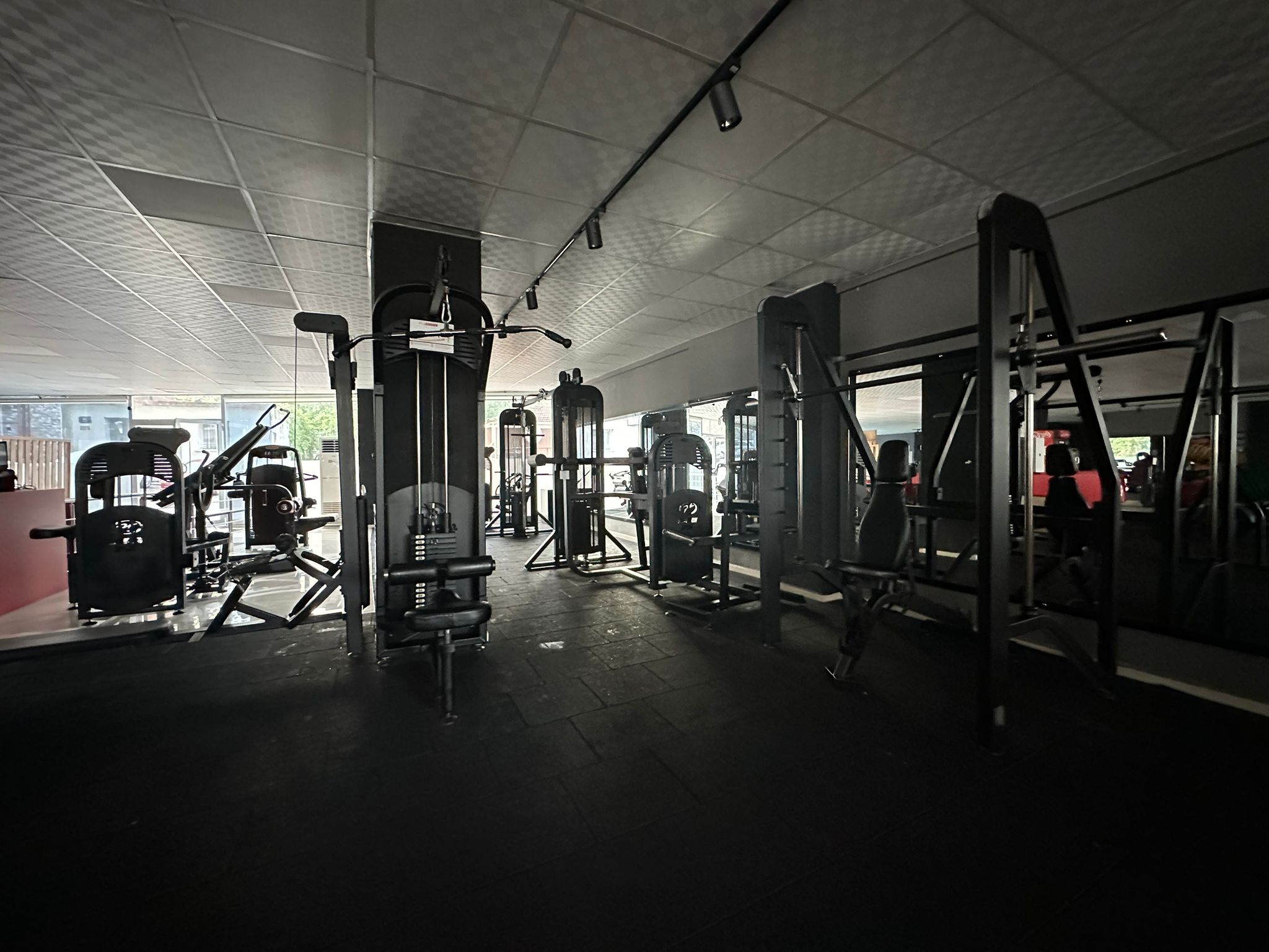 BunnyFit Muscle&Fitness